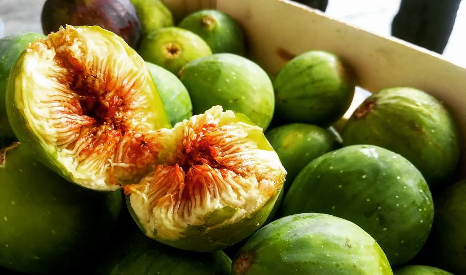 Scopri di più sull'articolo Fichi e Fichi d’india: i frutti più gustosi dell’estate salentina!