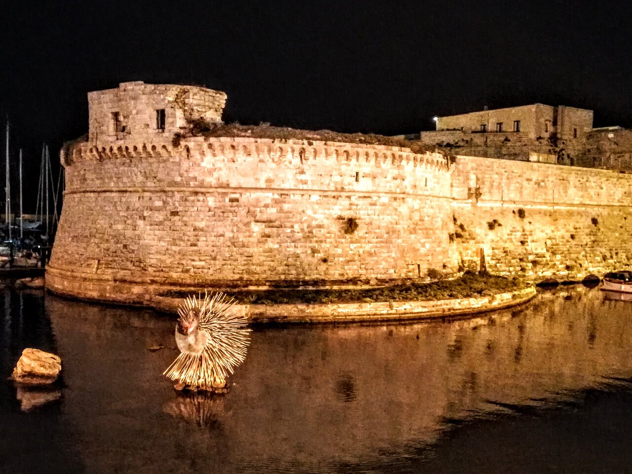 Scopri di più sull'articolo Il Castello di Gallipoli: un capolavoro angioino nel Salento